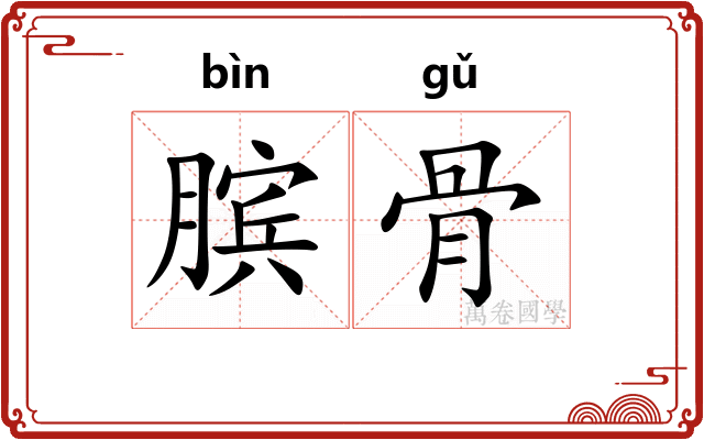 膑骨