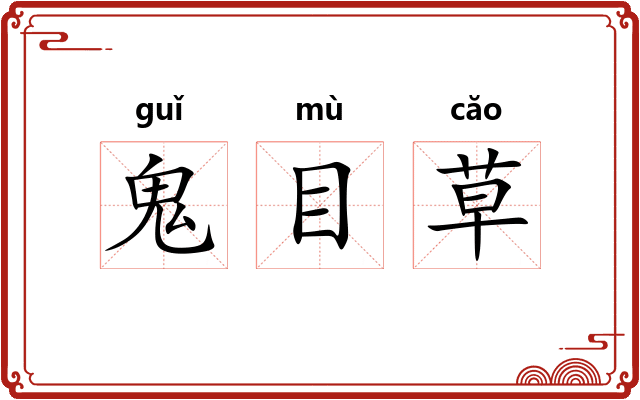 鬼目草