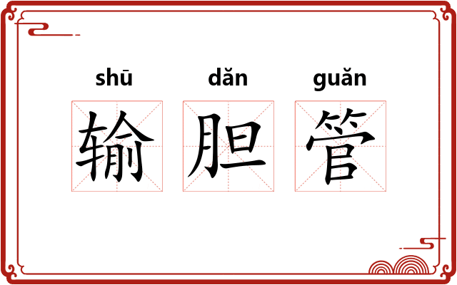 输胆管