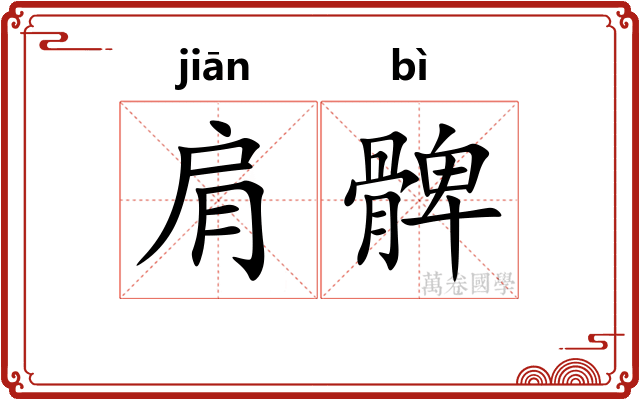 肩髀