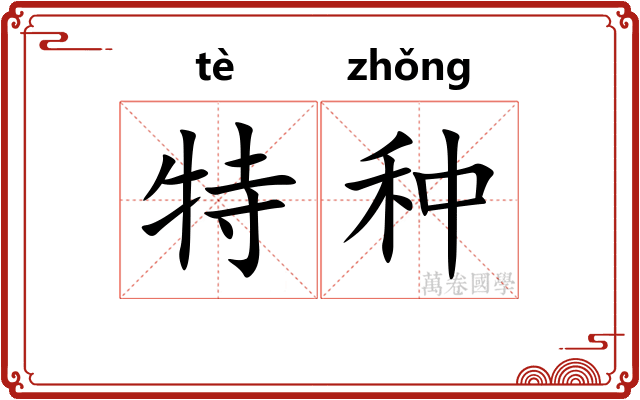特种
