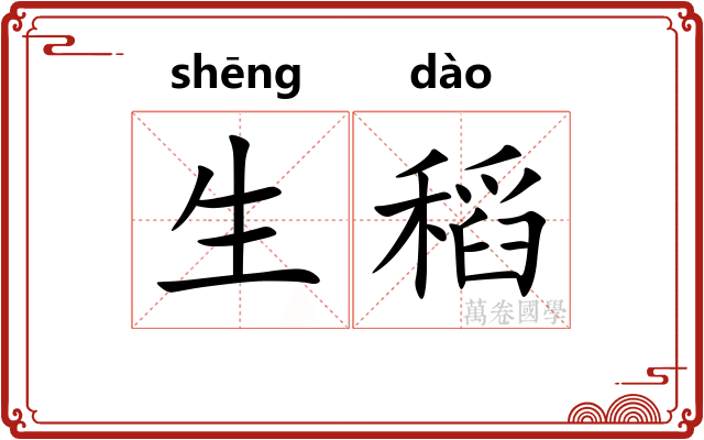 生稻