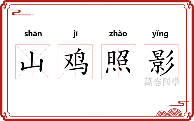 山鸡照影