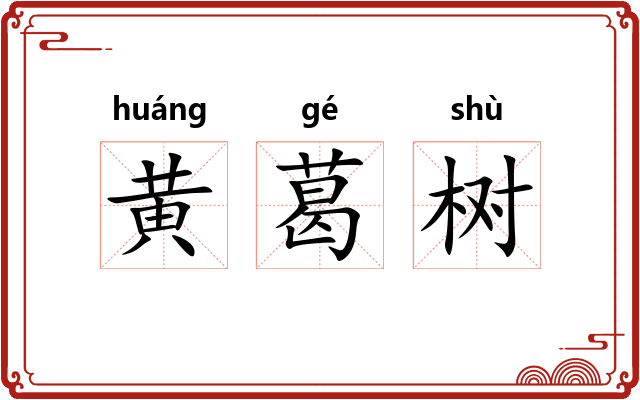 黄葛树