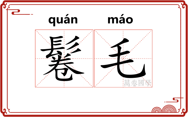 鬈毛