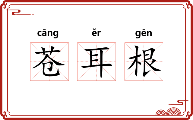 苍耳根