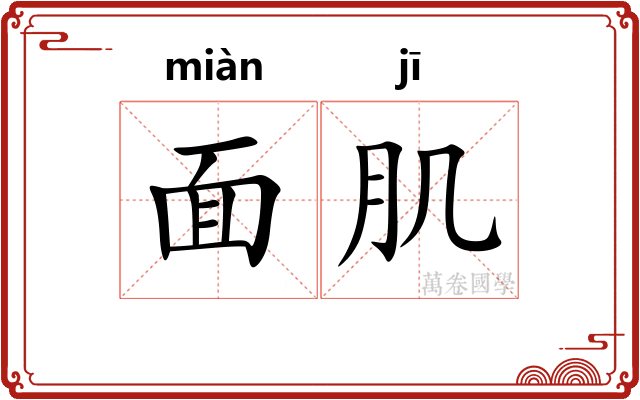 面肌