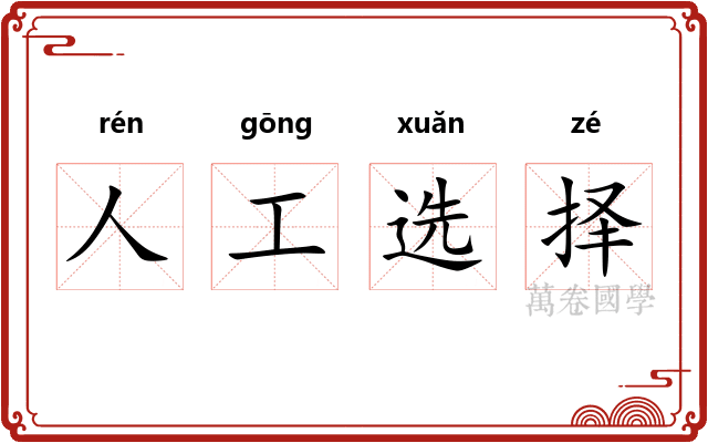 人工选择
