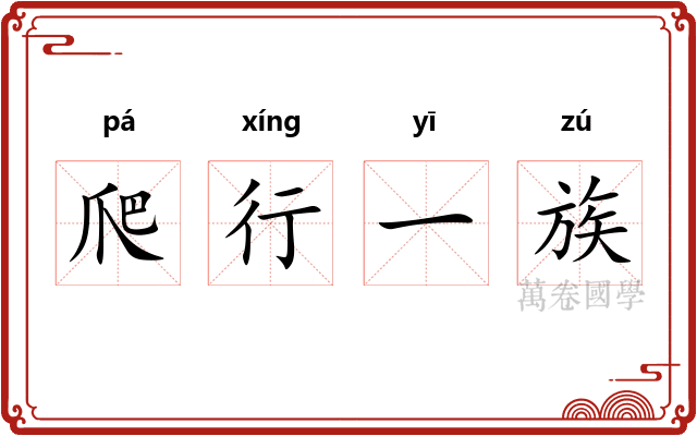 爬行一族