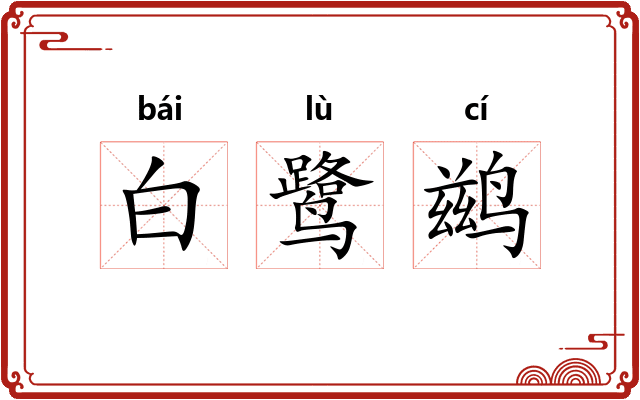 白鹭鹚 白鹭鹚