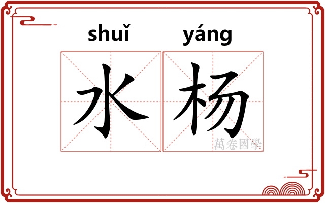 水杨