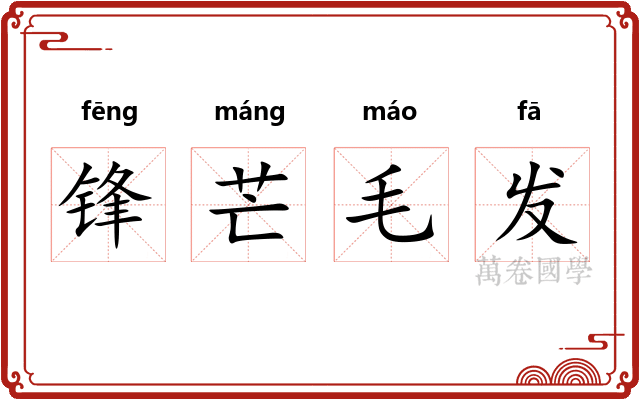 锋芒毛发