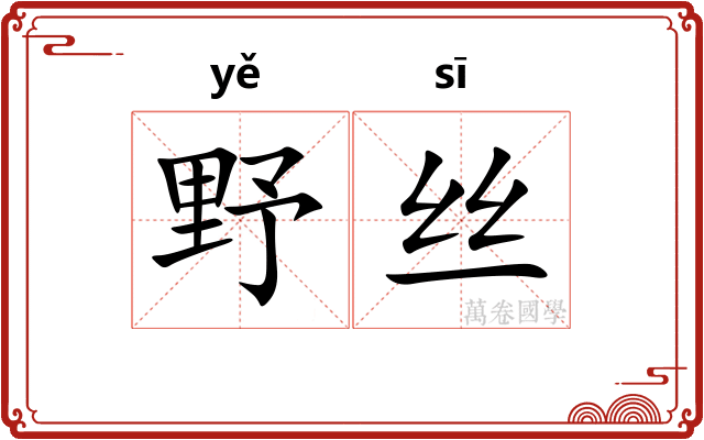 野丝 野丝