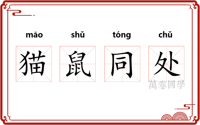 猫鼠同处