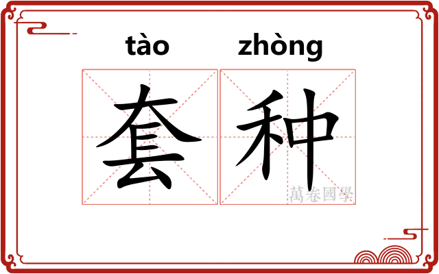套种 套种