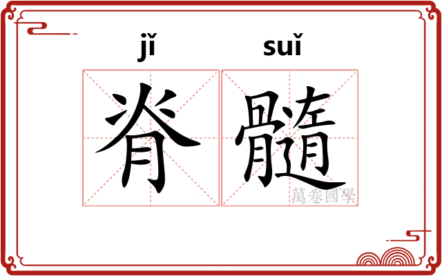 脊髓