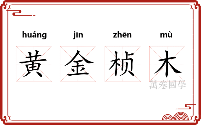 黄金桢木 黄金桢木