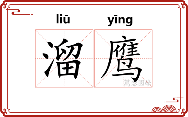溜鹰 溜鹰