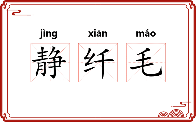 静纤毛