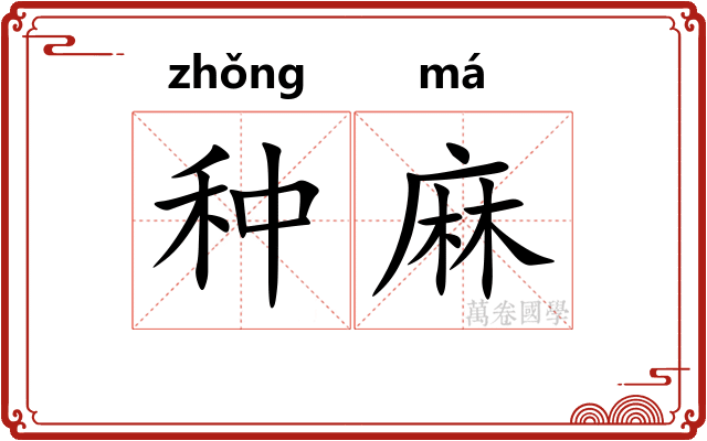 种麻
