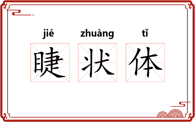 睫状体