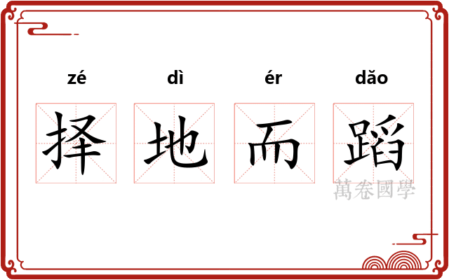 择地而蹈