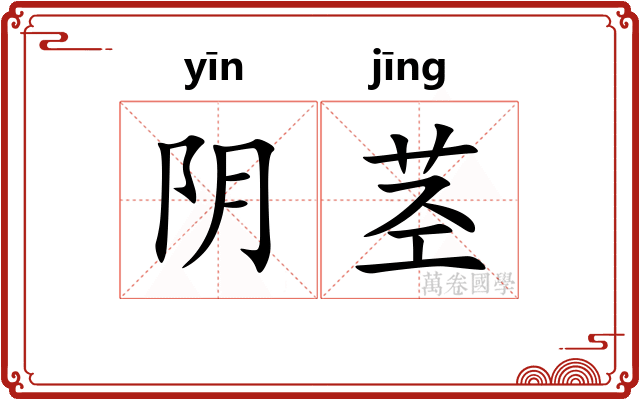 阴茎 阴茎