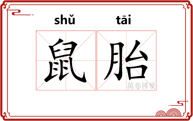 鼠胎