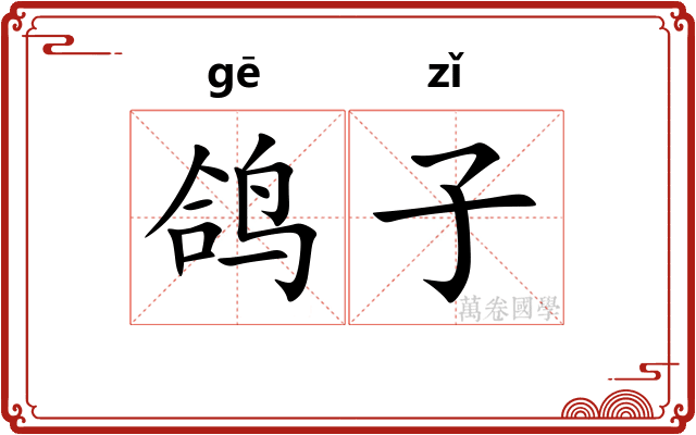 鸽子