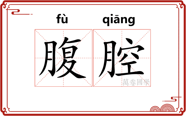 腹腔 腹腔