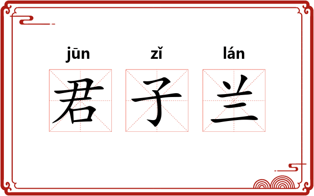 君子兰