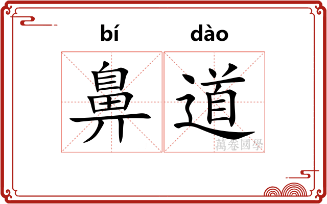 鼻道 鼻道