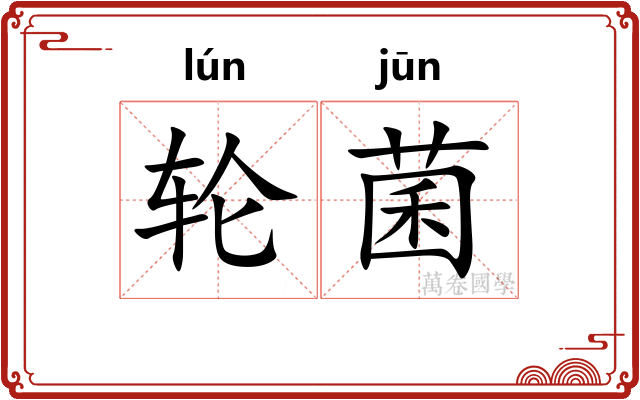 轮菌