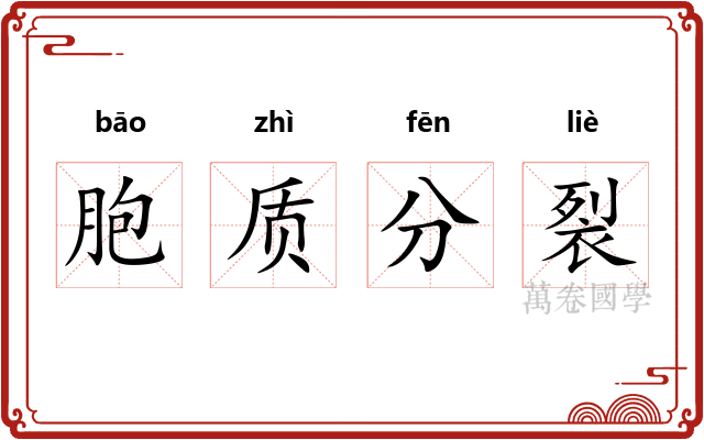 胞质分裂
