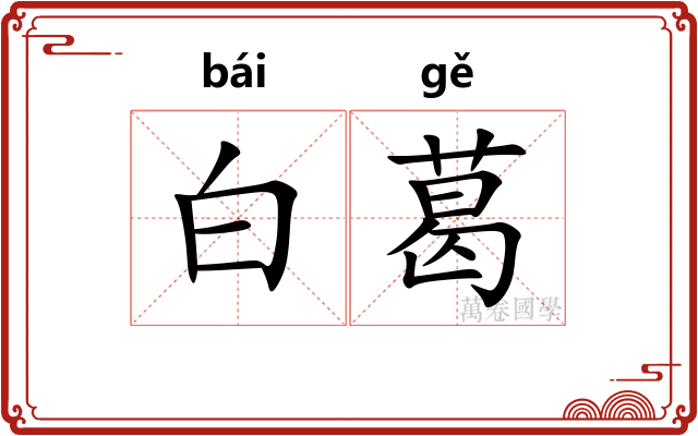 白葛 白葛