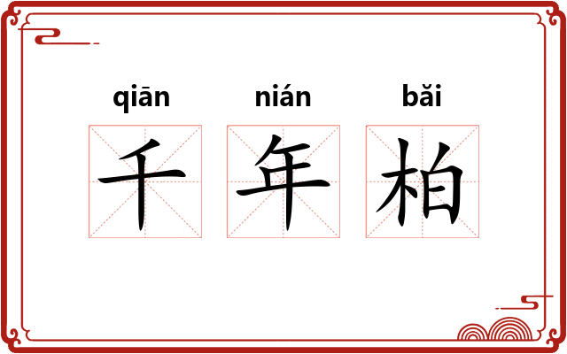 千年柏 千年柏