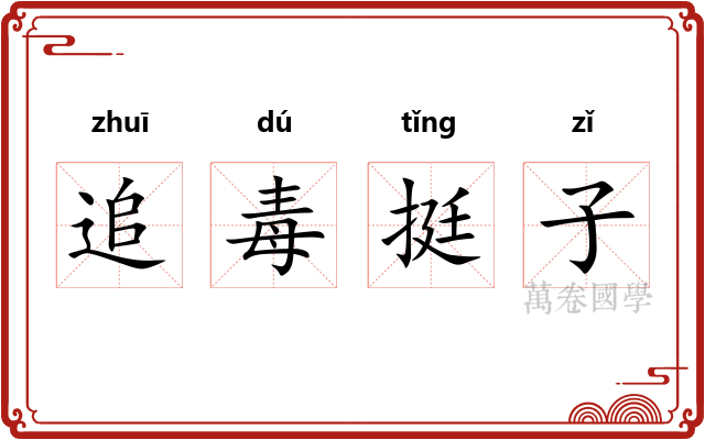 追毒挺子