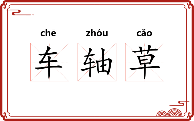 车轴草