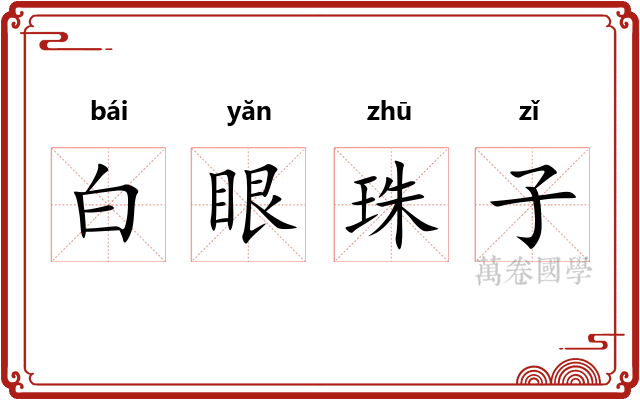 白眼珠子