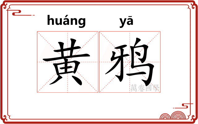 黄鸦