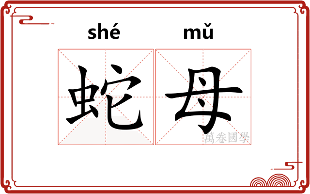蛇母