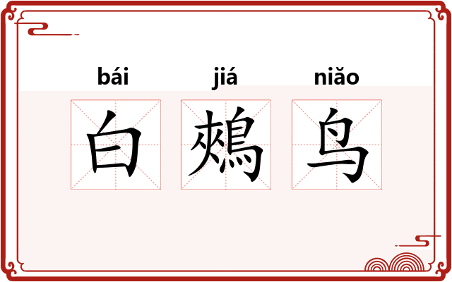 白鵊鸟