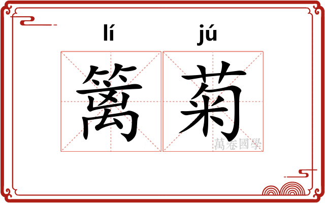 篱菊