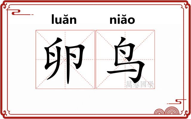 卵鸟