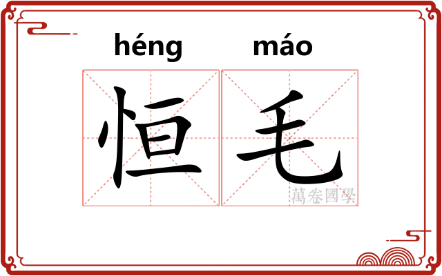 恒毛