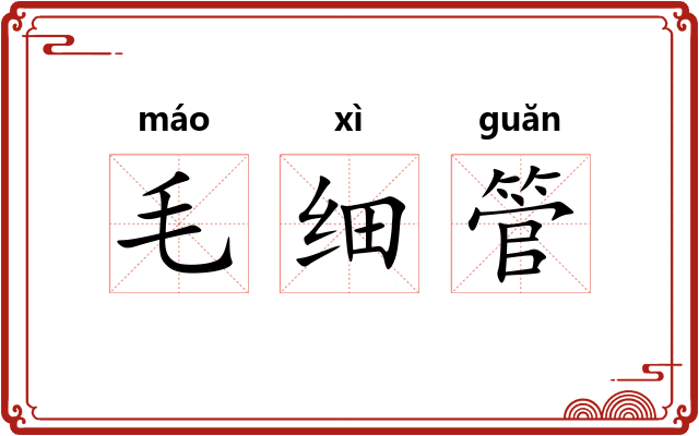 毛细管