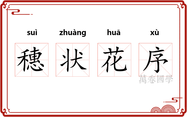 穗状花序