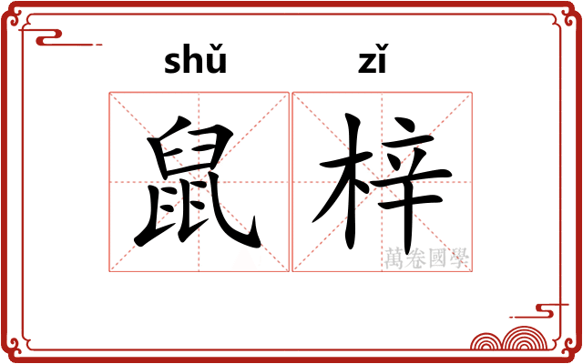 鼠梓