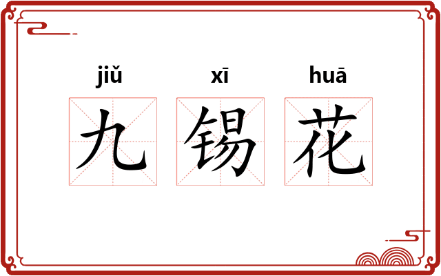 九锡花