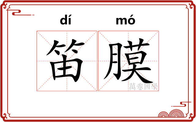 笛膜